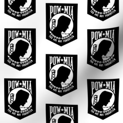 POW / MIA Banner // Medium