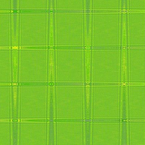 Chic Chromatic Checks in Lime Green and Yellow