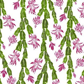 Christmas Cactus - hiking cranberry, lavender, olive and green