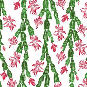 Christmas cactus - Christmascolors red and green on white