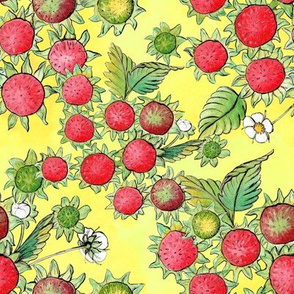 Strawberry Bottoms