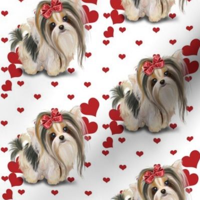 Biewer/Parti/Yorkie white and hearts M 