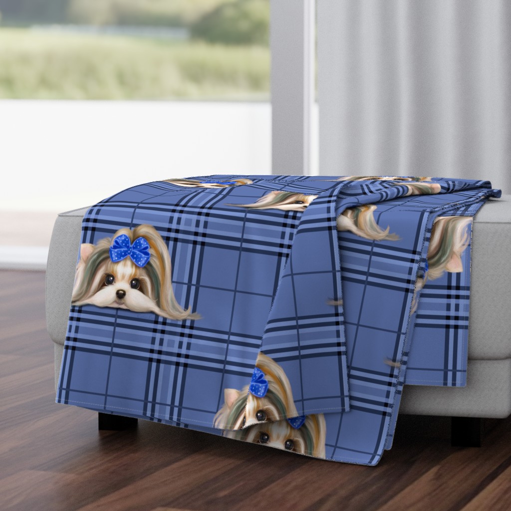 Parti-Biewer-Yorkie Plaid blue tone XL