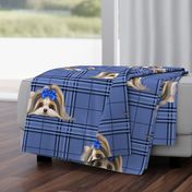 Parti-Biewer-Yorkie Plaid blue tone XL