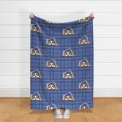 Parti-Biewer-Yorkie Plaid blue tone XL