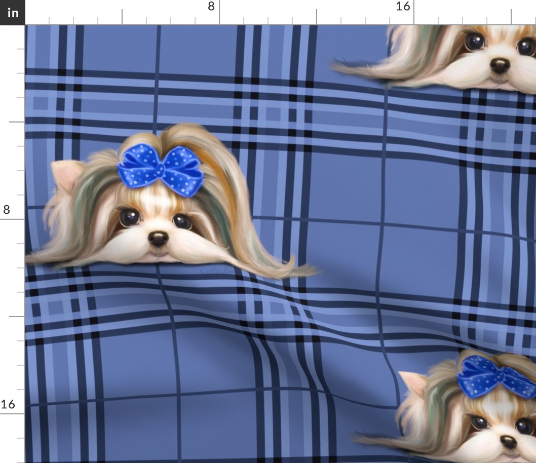 Parti-Biewer-Yorkie Plaid blue tone XL