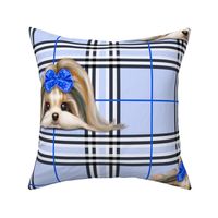 Parti-Biewer-Yorkie Plaid blue XL