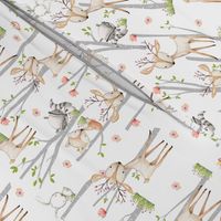 Sweet Woodland Animals - Deer Fox Raccoon Birch Trees Flowers Baby Girl Nursery Blanket Sheets Bedding B