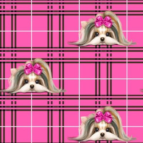 Parti-Biewer-Yorkie Plaid hot pink M