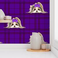 Parti-Biewer-Yorkie Plaid purpleM