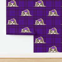 Parti-Biewer-Yorkie Plaid purpleM