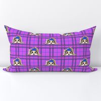 Parti-Biewer-Yorkie Plaid purple blue M