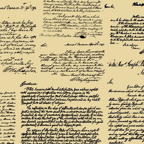 Letters of George Washington // Tan
