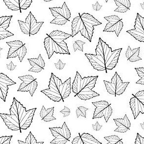 maple leaves