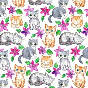 Tiny Cute Kittens and Clematis Flowers in Watercolor on White