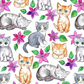 Medium Cute Kittens and Clematis Flowers in Watercolor on White
