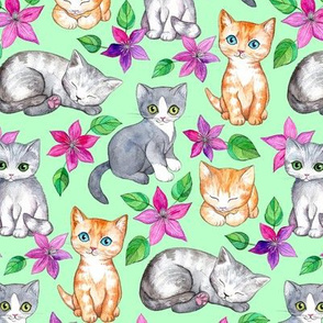 Medium Cute Kittens and Clematis Flowers in Watercolor on Mint Green