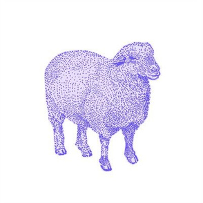 Purple Nursery Sheep