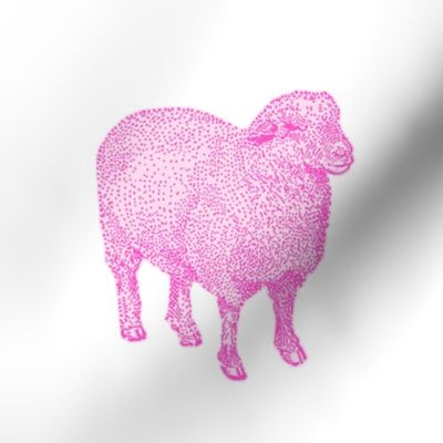 Pink Nursery Sheep