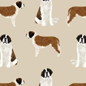 saint bernard simple dog breed pure breed fabric tan