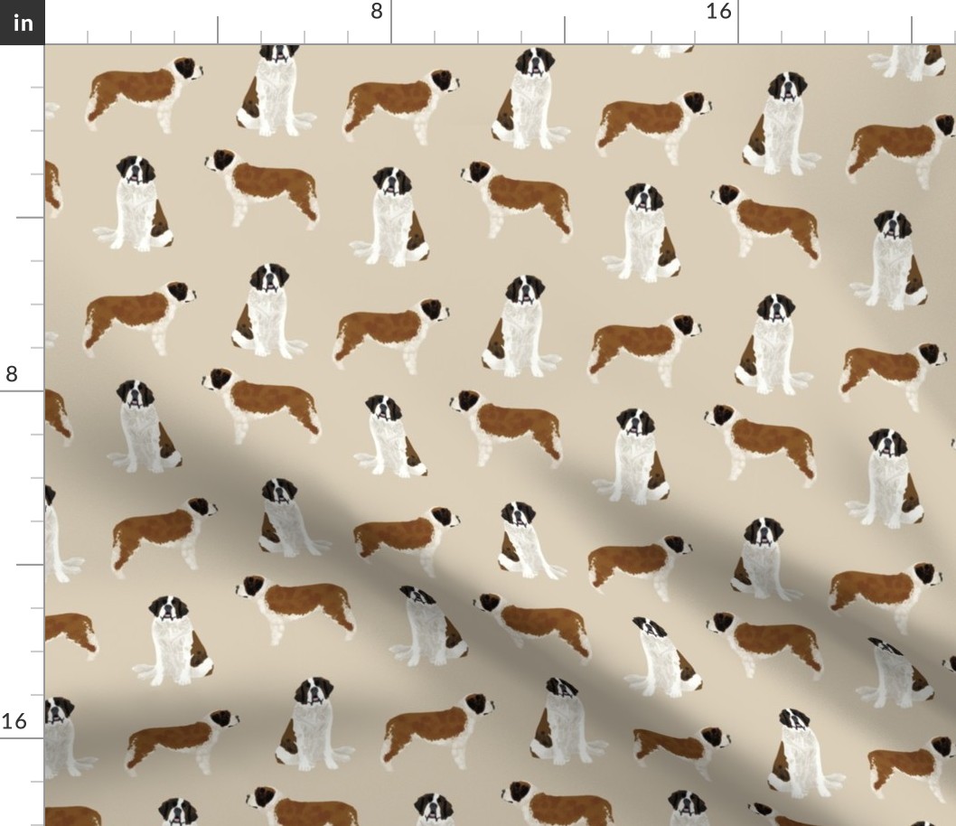 saint bernard simple dog breed pure breed fabric tan