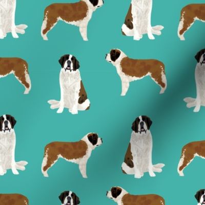 saint bernard simple dog breed pure breed fabric turquoise