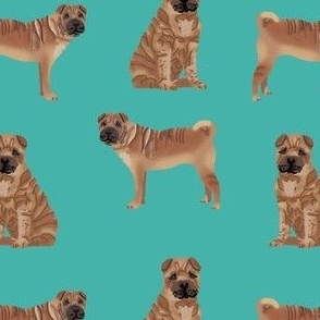sharpei simple dog breed pure breed fabric turquoise