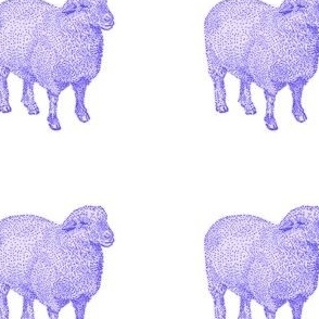 Purple Nursery Sheep