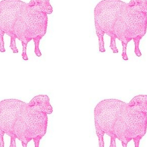 Pink Nursery Sheep