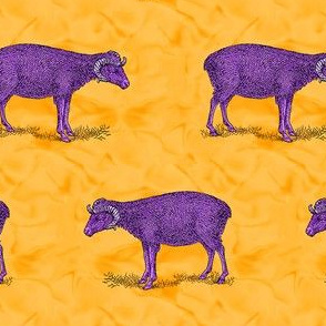 Purple Sheep on Orange