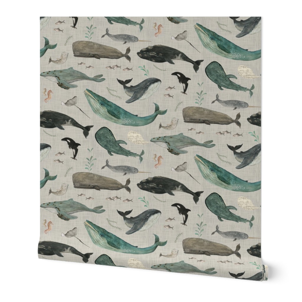 whale song gray