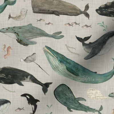 whale song gray