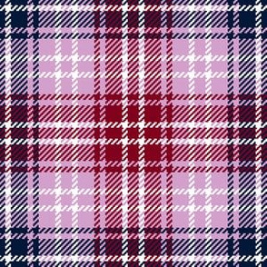 07180426 : tartan : spoonflower0431