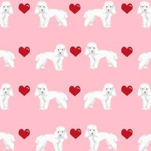 toy poodle white love love hearts dog fabric pink