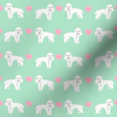 toy poodle white love love hearts dog fabric mint