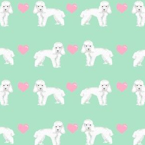 toy poodle white love love hearts dog fabric mint