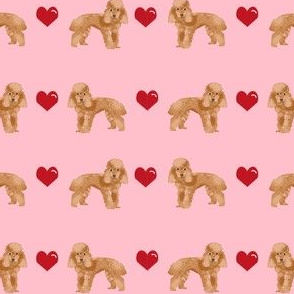 toy poodle apricot love love hearts dog fabric pink