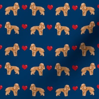 toy poodle apricot love love hearts dog fabric navy