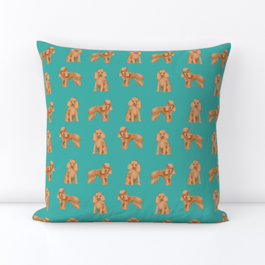 toy poodle apricot simple dog breed fabric turquoise