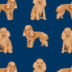 toy poodle apricot simple dog breed fabric navy