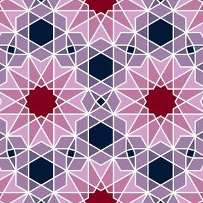 07180650 : SC64V2and4 : spoonflower0431