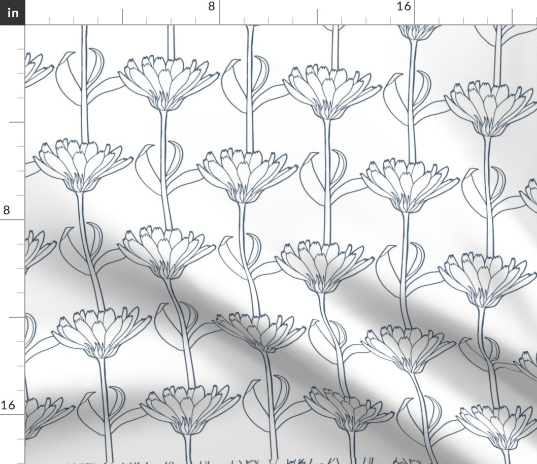 Calendulas_bluewhite