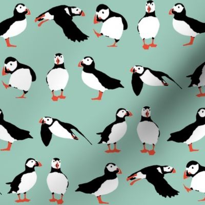 just puffins aqua