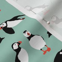 just puffins aqua