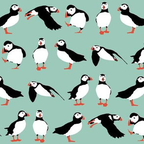 just puffins aqua