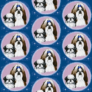 shih-tzu dogs with stars on blue 