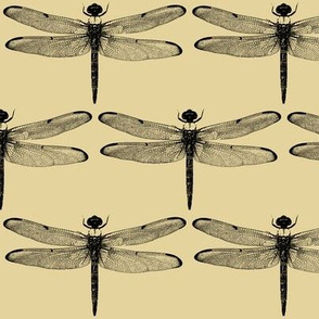 Dragonflies on Tan // Large