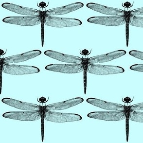 Dragonflies on Light Blue // Large