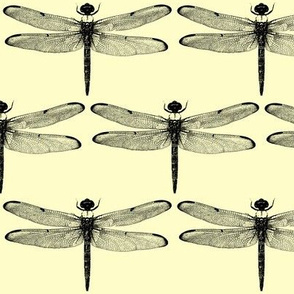 Dragonflies on Pale Yellow // Large