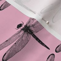 Dragonflies on Light Pink // Large
